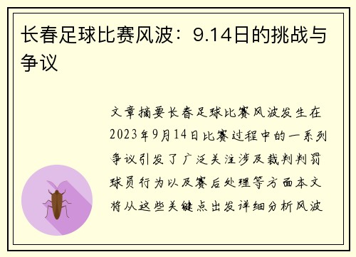 长春足球比赛风波：9.14日的挑战与争议