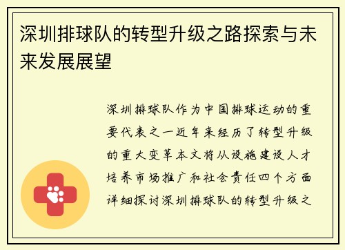 深圳排球队的转型升级之路探索与未来发展展望