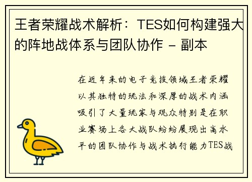 王者荣耀战术解析：TES如何构建强大的阵地战体系与团队协作 - 副本